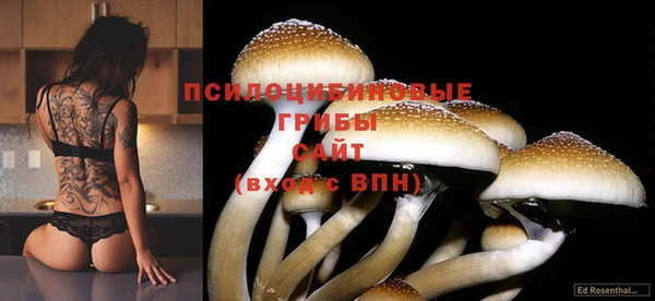 метамфетамин Пестово