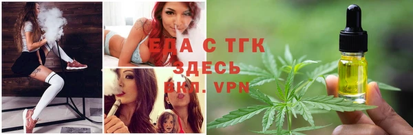 прущие грибы Пересвет