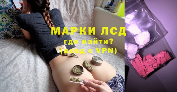 прущие грибы Пересвет