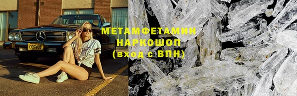прущие грибы Пересвет