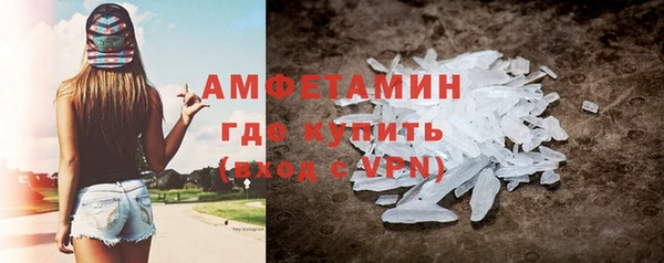 прущие грибы Пересвет